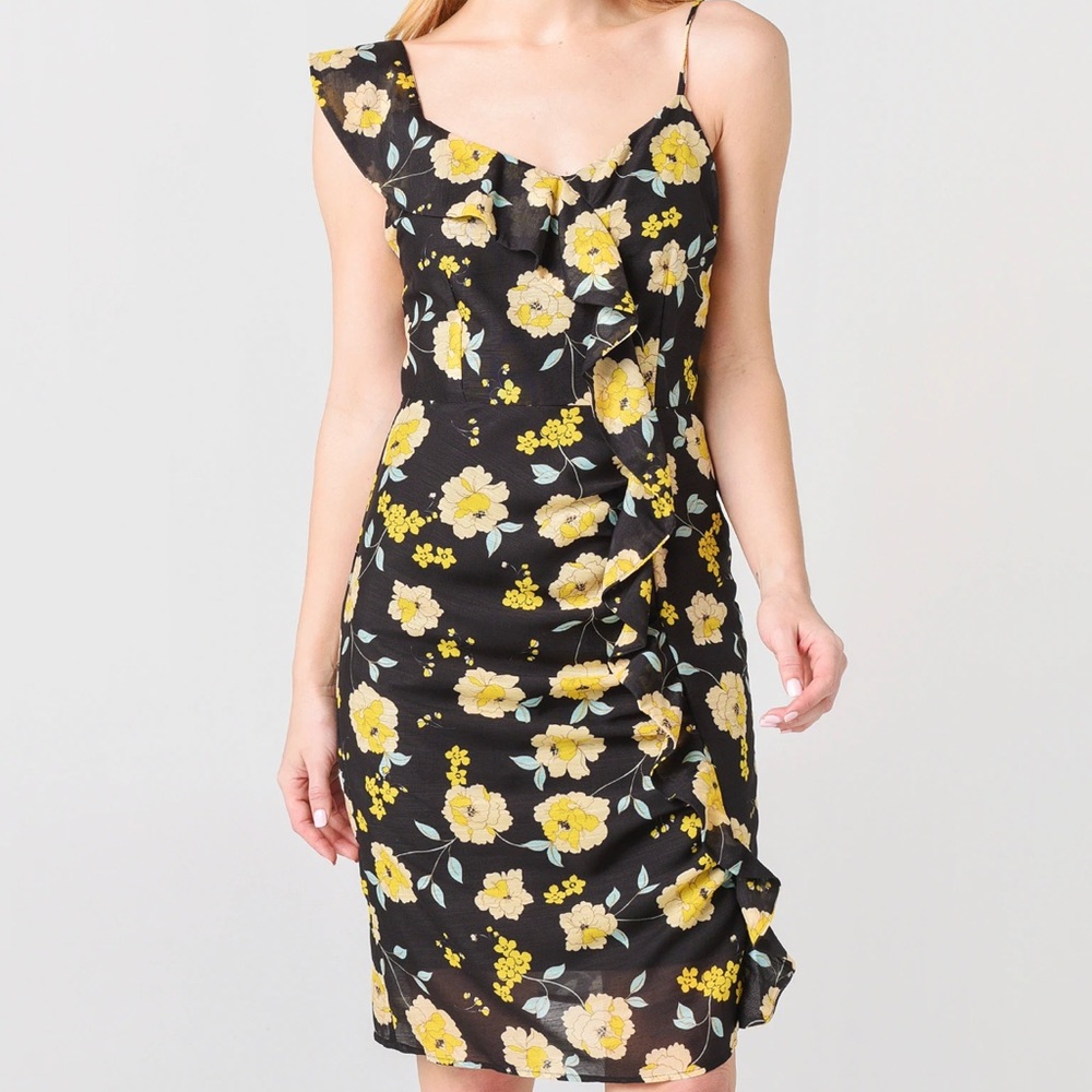 Cupcakes and Cashmere  Size 4 Ariadne Slub Chiffon Asymmetric Dress with Ruffle